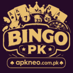 BingoPk_Game