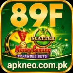 89F Game