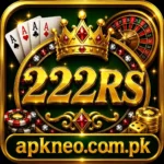 222rs game