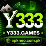 Y333 Game