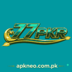 77PKR Game