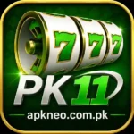 PK11 Game