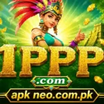 1PPP Game