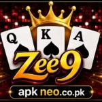 Zee9 Game
