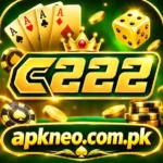 C222 Game