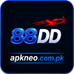 88dd